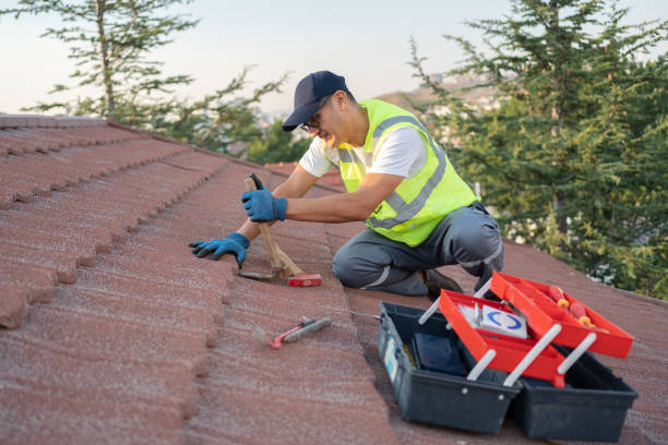 Best Roof Gutter Cleaning  in Graham, WA